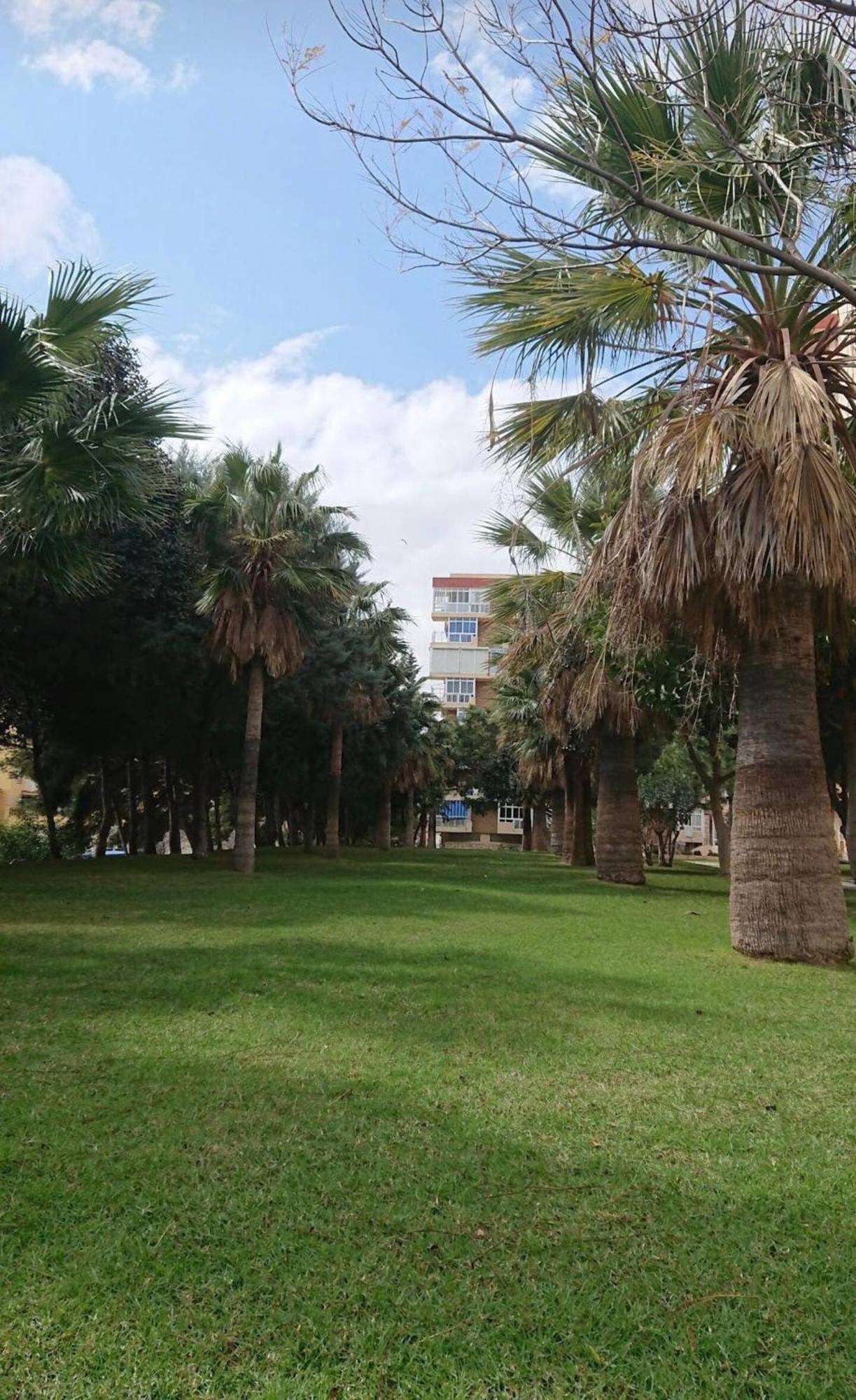 Hercules Paradise 531 Apartamento Con Vistas Al Mar Mediterraneo En Benalmadena A Pasos Del Centro Y Su Vibrante Zona Comercial Disfruta De Una Experiencia Unica En La Costa Del Sol Malaga Andalucia Well-Connected To The Airport Exteriör bild